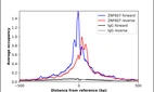 ChIP-Exo-Seq composite graph for Anti-ZNF607 (HPA055018, Lot R73075) tested in K562 cells. Strand-specific reads (blue: forward, red: reverse) and IgG controls (black: forward, grey: reverse) are plotted against the distance from a composite set of reference binding sites. The antibody exhibits robust target enrichment compared to a non-specific IgG control and precisely reveals its structural organization around the binding site. Data generated by Prof. B. F. Pugh´s Lab at Cornell University.