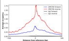ChIP-Exo-Seq composite graph for Anti-ZNF256 (HPA055390, Lot R73645) tested in K562 cells. Strand-specific reads (blue: forward, red: reverse) and IgG controls (black: forward, grey: reverse) are plotted against the distance from a composite set of reference binding sites. The antibody exhibits robust target enrichment compared to a non-specific IgG control and precisely reveals its structural organization around the binding site. Data generated by Prof. B. F. Pugh´s Lab at Cornell University.