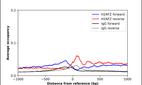 ChIP-Exo-Seq composite graph for Anti-H2AFZ (HPA057236, Lot R82453) tested in K562 cells. Strand-specific reads (blue: forward, red: reverse) and IgG controls (black: forward, grey: reverse) are plotted against the distance from a composite set of reference binding sites. The antibody exhibits robust target enrichment compared to a non-specific IgG control and precisely reveals its structural organization around the binding site. Data generated by Prof. B. F. Pugh´s Lab at Cornell University.