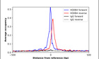 ChIP-Exo-Seq composite graph for Anti-HOXB4 (HPA057432, Lot 000052978) tested in K562 cells. Strand-specific reads (blue: forward, red: reverse) and IgG controls (black: forward, grey: reverse) are plotted against the distance from a composite set of reference binding sites. The antibody exhibits robust target enrichment compared to a non-specific IgG control and precisely reveals its structural organization around the binding site. Data generated by Prof. B. F. Pugh´s Lab at Cornell University.