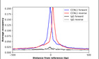 ChIP-Exo-Seq composite graph for Anti-CCNL1 (HPA057911, Lot R80982) tested in K562 cells. Strand-specific reads (blue: forward, red: reverse) and IgG controls (black: forward, grey: reverse) are plotted against the distance from a composite set of reference binding sites. The antibody exhibits robust target enrichment compared to a non-specific IgG control and precisely reveals its structural organization around the binding site. Data generated by Prof. B. F. Pugh´s Lab at Cornell University.