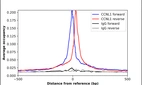 ChIP-Exo-Seq composite graph for Anti-CCNL1 (HPA057911, Lot R80982) tested in K562 cells. Strand-specific reads (blue: forward, red: reverse) and IgG controls (black: forward, grey: reverse) are plotted against the distance from a composite set of reference binding sites. The antibody exhibits robust target enrichment compared to a non-specific IgG control and precisely reveals its structural organization around the binding site. Data generated by Prof. B. F. Pugh´s Lab at Cornell University.