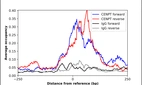 ChIP-Exo-Seq composite graph for Anti-CENPT (HPA058036, Lot R81150) tested in K562 cells. Strand-specific reads (blue: forward, red: reverse) and IgG controls (black: forward, grey: reverse) are plotted against the distance from a composite set of reference binding sites. The antibody exhibits robust target enrichment compared to a non-specific IgG control and precisely reveals its structural organization around the binding site. Data generated by Prof. B. F. Pugh´s Lab at Cornell University.