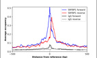ChIP-Exo-Seq composite graph for Anti-SRFBP1 (HPA058150, Lot R82065) tested in K562 cells. Strand-specific reads (blue: forward, red: reverse) and IgG controls (black: forward, grey: reverse) are plotted against the distance from a composite set of reference binding sites. The antibody exhibits robust target enrichment compared to a non-specific IgG control and precisely reveals its structural organization around the binding site. Data generated by Prof. B. F. Pugh´s Lab at Cornell University.