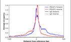 ChIP-Exo-Seq composite graph for Anti-POU2F1 (HPA058559, Lot R81688) tested in K562 cells. Strand-specific reads (blue: forward, red: reverse) and IgG controls (black: forward, grey: reverse) are plotted against the distance from a composite set of reference binding sites. The antibody exhibits robust target enrichment compared to a non-specific IgG control and precisely reveals its structural organization around the binding site. Data generated by Prof. B. F. Pugh´s Lab at Cornell University.