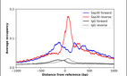 ChIP-Exo-Seq composite graph for Anti-SAP30 (HPA059012, Lot R82511) tested in K562 cells. Strand-specific reads (blue: forward, red: reverse) and IgG controls (black: forward, grey: reverse) are plotted against the distance from a composite set of reference binding sites. The antibody exhibits robust target enrichment compared to a non-specific IgG control and precisely reveals its structural organization around the binding site. Data generated by Prof. B. F. Pugh´s Lab at Cornell University.
