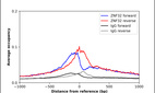 ChIP-Exo-Seq composite graph for Anti-ZNF32 (HPA059640, Lot R84139) tested in K562 cells. Strand-specific reads (blue: forward, red: reverse) and IgG controls (black: forward, grey: reverse) are plotted against the distance from a composite set of reference binding sites. The antibody exhibits robust target enrichment compared to a non-specific IgG control and precisely reveals its structural organization around the binding site. Data generated by Prof. B. F. Pugh´s Lab at Cornell University.