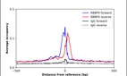 ChIP-Exo-Seq composite graph for Anti-RBBP4 (HPA060710, Lot R85249) tested in K562 cells. Strand-specific reads (blue: forward, red: reverse) and IgG controls (black: forward, grey: reverse) are plotted against the distance from a composite set of reference binding sites. The antibody exhibits robust target enrichment compared to a non-specific IgG control and precisely reveals its structural organization around the binding site. Data generated by Prof. B. F. Pugh´s Lab at Cornell University.