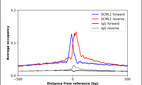 ChIP-Exo-Seq composite graph for Anti-SCML1 (HPA061397, Lot R85959) tested in K562 cells. Strand-specific reads (blue: forward, red: reverse) and IgG controls (black: forward, grey: reverse) are plotted against the distance from a composite set of reference binding sites. The antibody exhibits robust target enrichment compared to a non-specific IgG control and precisely reveals its structural organization around the binding site. Data generated by Prof. B. F. Pugh´s Lab at Cornell University.