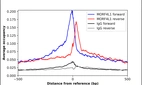 ChIP-Exo-Seq composite graph for Anti-MORF4L1 (HPA062010, Lot 000057260) tested in K562 cells. Strand-specific reads (blue: forward, red: reverse) and IgG controls (black: forward, grey: reverse) are plotted against the distance from a composite set of reference binding sites. The antibody exhibits robust target enrichment compared to a non-specific IgG control and precisely reveals its structural organization around the binding site. Data generated by Prof. B. F. Pugh´s Lab at Cornell University.