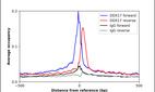 ChIP-Exo-Seq composite graph for Anti-DDX17 (HPA063142, Lot 000042245) tested in K562 cells. Strand-specific reads (blue: forward, red: reverse) and IgG controls (black: forward, grey: reverse) are plotted against the distance from a composite set of reference binding sites. The antibody exhibits robust target enrichment compared to a non-specific IgG control and precisely reveals its structural organization around the binding site. Data generated by Prof. B. F. Pugh´s Lab at Cornell University.