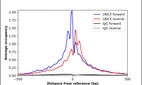 ChIP-Exo-Seq composite graph for Anti-UNCX (HPA063294, Lot 000023210) tested in K562 cells. Strand-specific reads (blue: forward, red: reverse) and IgG controls (black: forward, grey: reverse) are plotted against the distance from a composite set of reference binding sites. The antibody exhibits robust target enrichment compared to a non-specific IgG control and precisely reveals its structural organization around the binding site. Data generated by Prof. B. F. Pugh´s Lab at Cornell University.