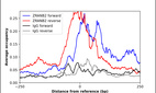 ChIP-Exo-Seq composite graph for Anti-ZRANB2 (HPA063298, Lot R88199) tested in K562 cells. Strand-specific reads (blue: forward, red: reverse) and IgG controls (black: forward, grey: reverse) are plotted against the distance from a composite set of reference binding sites. The antibody exhibits robust target enrichment compared to a non-specific IgG control and precisely reveals its structural organization around the binding site. Data generated by Prof. B. F. Pugh´s Lab at Cornell University.