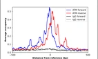 ChIP-Exo-Seq composite graph for Anti-ATM (HPA067142, Lot R102443) tested in K562 cells. Strand-specific reads (blue: forward, red: reverse) and IgG controls (black: forward, grey: reverse) are plotted against the distance from a composite set of reference binding sites. The antibody exhibits robust target enrichment compared to a non-specific IgG control and precisely reveals its structural organization around the binding site. Data generated by Prof. B. F. Pugh´s Lab at Cornell University.