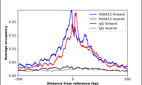 ChIP-Exo-Seq composite graph for Anti-HOXA13 (HPA069061, Lot R99269) tested in K562 cells. Strand-specific reads (blue: forward, red: reverse) and IgG controls (black: forward, grey: reverse) are plotted against the distance from a composite set of reference binding sites. The antibody exhibits robust target enrichment compared to a non-specific IgG control and precisely reveals its structural organization around the binding site. Data generated by Prof. B. F. Pugh´s Lab at Cornell University.