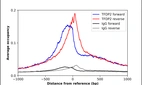 ChIP-Exo-Seq composite graph for Anti-TFDP2 (HPA070399, Lot R102055) tested in K562 cells. Strand-specific reads (blue: forward, red: reverse) and IgG controls (black: forward, grey: reverse) are plotted against the distance from a composite set of reference binding sites. The antibody exhibits robust target enrichment compared to a non-specific IgG control and precisely reveals its structural organization around the binding site. Data generated by Prof. B. F. Pugh´s Lab at Cornell University.