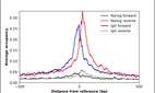 ChIP-Exo-Seq composite graph for Anti-NANOG (HPA072117, Lot R101396) tested in K562 cells. Strand-specific reads (blue: forward, red: reverse) and IgG controls (black: forward, grey: reverse) are plotted against the distance from a composite set of reference binding sites. The antibody exhibits robust target enrichment compared to a non-specific IgG control and precisely reveals its structural organization around the binding site. Data generated by Prof. B. F. Pugh´s Lab at Cornell University.