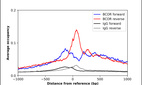ChIP-Exo-Seq composite graph for Anti-BCOR (HPA073591, Lot R99848) tested in K562 cells. Strand-specific reads (blue: forward, red: reverse) and IgG controls (black: forward, grey: reverse) are plotted against the distance from a composite set of reference binding sites. The antibody exhibits robust target enrichment compared to a non-specific IgG control and precisely reveals its structural organization around the binding site. Data generated by Prof. B. F. Pugh´s Lab at Cornell University.