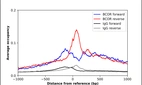 ChIP-Exo-Seq composite graph for Anti-BCOR (HPA073591, Lot R99848) tested in K562 cells. Strand-specific reads (blue: forward, red: reverse) and IgG controls (black: forward, grey: reverse) are plotted against the distance from a composite set of reference binding sites. The antibody exhibits robust target enrichment compared to a non-specific IgG control and precisely reveals its structural organization around the binding site. Data generated by Prof. B. F. Pugh´s Lab at Cornell University.