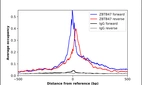 ChIP-Exo-Seq composite graph for Anti-ZBTB47 (HPA074057, Lot R109704) tested in K562 cells. Strand-specific reads (blue: forward, red: reverse) and IgG controls (black: forward, grey: reverse) are plotted against the distance from a composite set of reference binding sites. The antibody exhibits robust target enrichment compared to a non-specific IgG control and precisely reveals its structural organization around the binding site. Data generated by Prof. B. F. Pugh´s Lab at Cornell University.