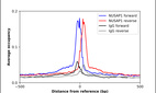ChIP-Exo-Seq composite graph for Anti-NUSAP1 (HPA074847, Lot R110246) tested in K562 cells. Strand-specific reads (blue: forward, red: reverse) and IgG controls (black: forward, grey: reverse) are plotted against the distance from a composite set of reference binding sites. The antibody exhibits robust target enrichment compared to a non-specific IgG control and precisely reveals its structural organization around the binding site. Data generated by Prof. B. F. Pugh´s Lab at Cornell University.
