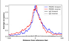 ChIP-Exo-Seq composite graph for Anti-PRDM1 (HPA075427, Lot R110697) tested in K562 cells. Strand-specific reads (blue: forward, red: reverse) and IgG controls (black: forward, grey: reverse) are plotted against the distance from a composite set of reference binding sites. The antibody exhibits robust target enrichment compared to a non-specific IgG control and precisely reveals its structural organization around the binding site. Data generated by Prof. B. F. Pugh´s Lab at Cornell University.