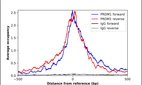 ChIP-Exo-Seq composite graph for Anti-PRDM1 (HPA075427, Lot R110697) tested in K562 cells. Strand-specific reads (blue: forward, red: reverse) and IgG controls (black: forward, grey: reverse) are plotted against the distance from a composite set of reference binding sites. The antibody exhibits robust target enrichment compared to a non-specific IgG control and precisely reveals its structural organization around the binding site. Data generated by Prof. B. F. Pugh´s Lab at Cornell University.