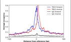 ChIP-Exo-Seq composite graph for Anti-TBX3 (HPA075876, Lot R111980) tested in K562 cells. Strand-specific reads (blue: forward, red: reverse) and IgG controls (black: forward, grey: reverse) are plotted against the distance from a composite set of reference binding sites. The antibody exhibits robust target enrichment compared to a non-specific IgG control and precisely reveals its structural organization around the binding site. Data generated by Prof. B. F. Pugh´s Lab at Cornell University.