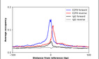 ChIP-Exo-Seq composite graph for Anti-E2F8 (HPA076614, Lot R112207) tested in K562 cells. Strand-specific reads (blue: forward, red: reverse) and IgG controls (black: forward, grey: reverse) are plotted against the distance from a composite set of reference binding sites. The antibody exhibits robust target enrichment compared to a non-specific IgG control and precisely reveals its structural organization around the binding site. Data generated by Prof. B. F. Pugh´s Lab at Cornell University.