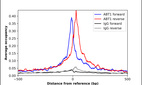 ChIP-Exo-Seq composite graph for Anti-ABT1 (HPA077039, Lot R109409) tested in K562 cells. Strand-specific reads (blue: forward, red: reverse) and IgG controls (black: forward, grey: reverse) are plotted against the distance from a composite set of reference binding sites. The antibody exhibits robust target enrichment compared to a non-specific IgG control and precisely reveals its structural organization around the binding site. Data generated by Prof. B. F. Pugh´s Lab at Cornell University.