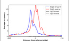 ChIP-Exo-Seq composite graph for Anti-BDP1 (HPA077984, Lot R113587) tested in K562 cells. Strand-specific reads (blue: forward, red: reverse) and IgG controls (black: forward, grey: reverse) are plotted against the distance from a composite set of reference binding sites. The antibody exhibits robust target enrichment compared to a non-specific IgG control and precisely reveals its structural organization around the binding site. Data generated by Prof. B. F. Pugh´s Lab at Cornell University.