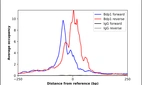 ChIP-Exo-Seq composite graph for Anti-BDP1 (HPA077984, Lot R113587) tested in K562 cells. Strand-specific reads (blue: forward, red: reverse) and IgG controls (black: forward, grey: reverse) are plotted against the distance from a composite set of reference binding sites. The antibody exhibits robust target enrichment compared to a non-specific IgG control and precisely reveals its structural organization around the binding site. Data generated by Prof. B. F. Pugh´s Lab at Cornell University.