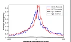 ChIP-Exo-Seq composite graph for Anti-RFX5 (HPA079241, Lot R114584) tested in K562 cells. Strand-specific reads (blue: forward, red: reverse) and IgG controls (black: forward, grey: reverse) are plotted against the distance from a composite set of reference binding sites. The antibody exhibits robust target enrichment compared to a non-specific IgG control and precisely reveals its structural organization around the binding site. Data generated by Prof. B. F. Pugh´s Lab at Cornell University.
