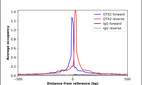 ChIP-Exo-Seq composite graph for Anti-OTX2 (HPA000633, Lot B74059) tested in K562 cells. Strand-specific reads (blue: forward, red: reverse) and IgG controls (black: forward, grey: reverse) are plotted against the distance from a composite set of reference binding sites. The antibody exhibits robust target enrichment compared to a non-specific IgG control and precisely reveals its structural organization around the binding site. Data generated by Prof. B. F. Pugh´s Lab at Cornell University.