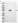 Anti-KLHL15 Antibody