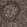 Anti-RBM5 Antibody
