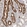Anti-LCORL Antibody