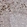 Anti-ZNF512 Antibody