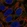 Anti-HSPA1A Antibody