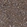 Anti-ZDHHC20 Antibody