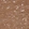 Anti-NPTN Antibody