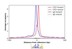 ChIP-Exo-Seq composite graph for Anti-CTCF (HPA004122, Lot A96611) tested in K562 cells. Strand-specific reads (blue: forward, red: reverse) and IgG controls (black: forward, grey: reverse) are plotted against the distance from a composite set of reference binding sites. The antibody exhibits robust target enrichment compared to a non-specific IgG control and precisely reveals its structural organization around the binding site. Data generated by Prof. B. F. Pugh´s Lab at Cornell University.