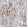 Anti-SLC6A12 Antibody