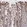 Anti-RIN2 Antibody