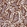 Anti-MRPS16 Antibody
