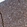 Anti-SOX11 Recombinant Antibody