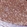 Anti-SOX11 Recombinant Antibody