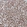 Anti-ABCD3 Recombinant Antibody