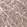 Anti-LAMC1 Recombinant Antibody