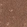 Anti-YAP1 Recombinant Antibody